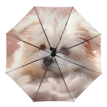 Armas Puudel õitsemisstaadiumis Valdkonnas Vihmavari Vihma Naiste 3-Tagaistme Täielikult Automaatne Vihmavari päikesekaitse Väljas Sõidu-Vahend Parapluie